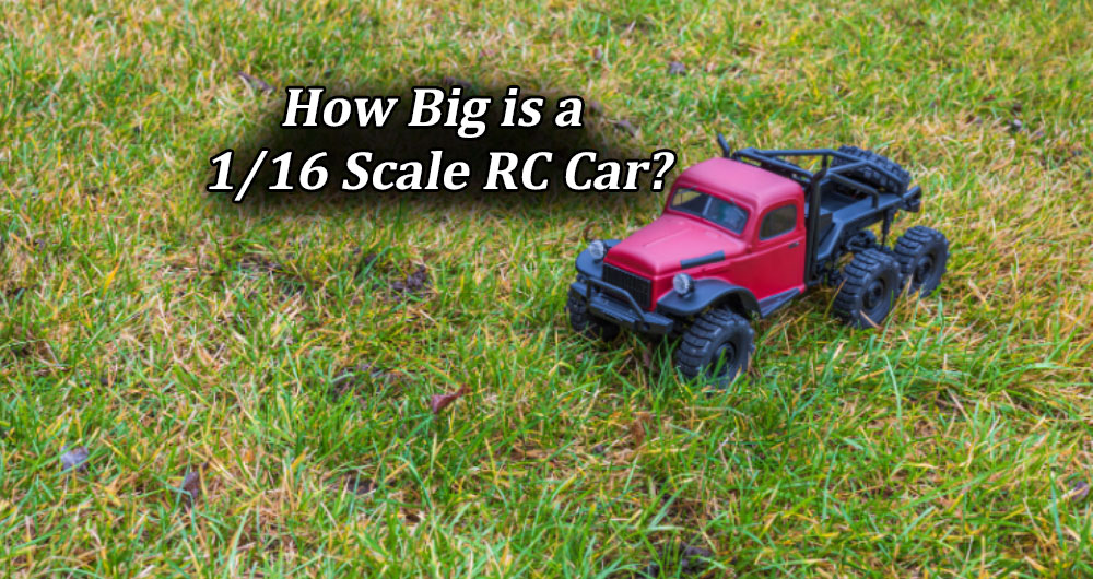 How Big is a 1/16 Scale RC Car