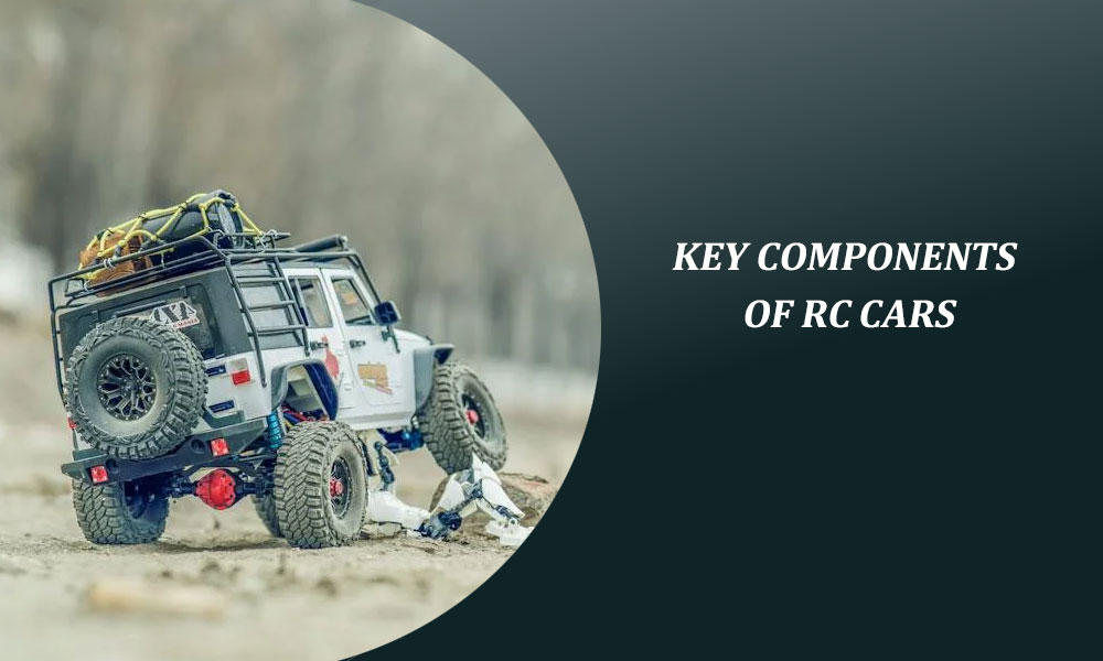 Key Components of RC Cars