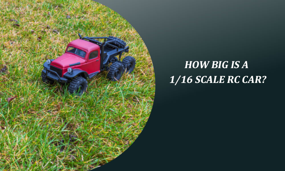 How Big is a 1/16 Scale RC Car