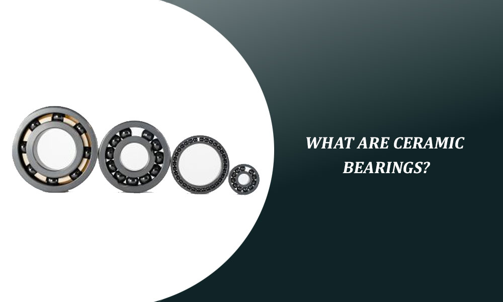 What Are Ceramic Bearings