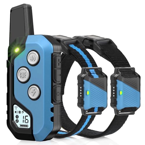 Best Remote Control Dog Training Collar