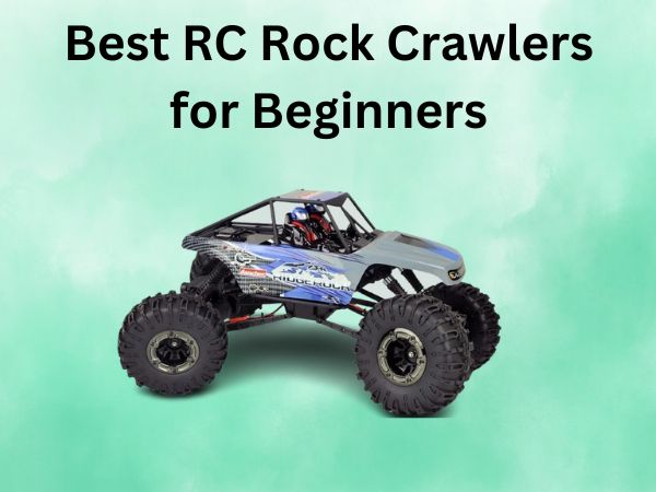 Best RC Rock Crawlers for Beginners