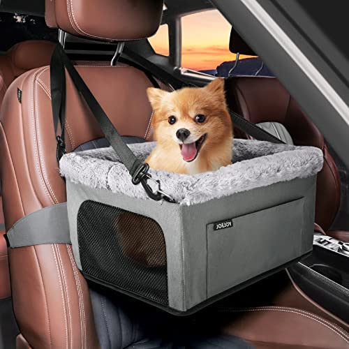 Best Car Seat for Chihuahua