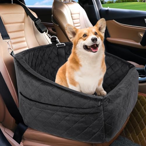 Best Car Seat for Corgi