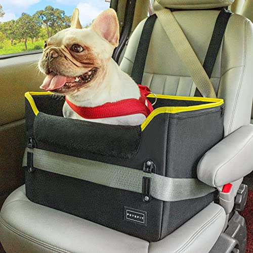 Best Car Seat for Pugs