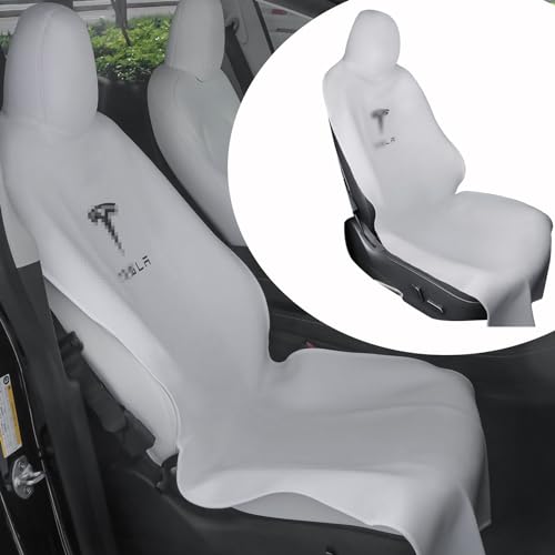 Best Convertible Car Seat for Tesla Model Y