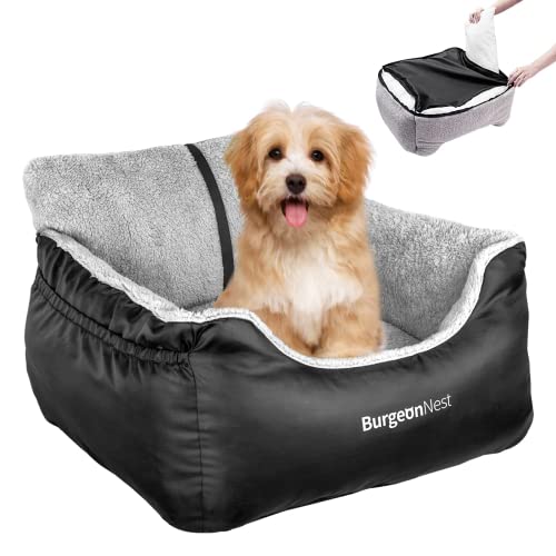 Best Dog Car Seat for Front Seat