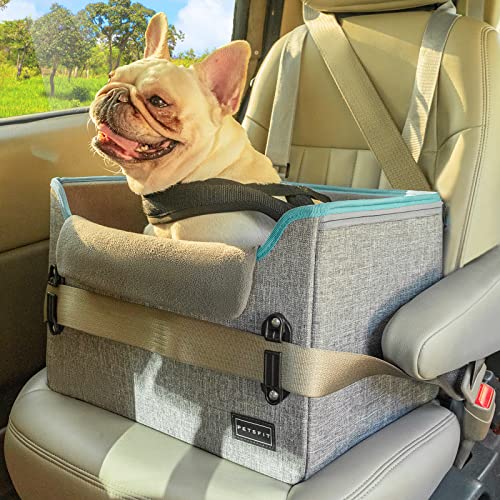 Best Dog Car Seat for Small Dogs