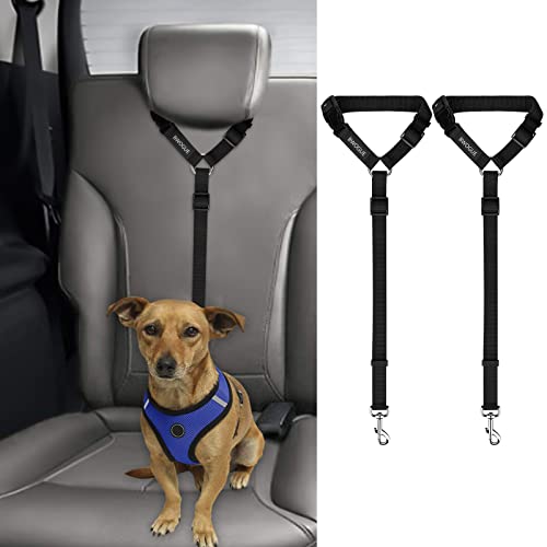 Best Dog Harness for Car Seat