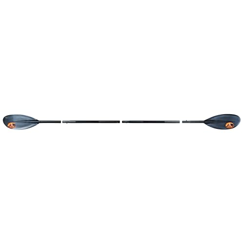 Best 4 Piece Kayak Paddle