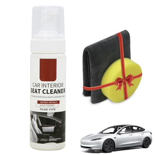 Best Cleaner for Tesla Interior