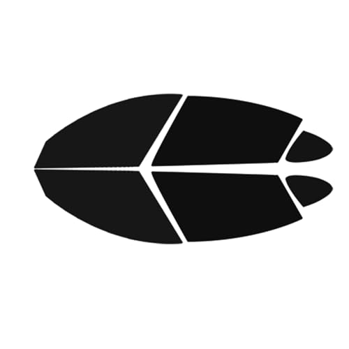 Best Tint for Tesla