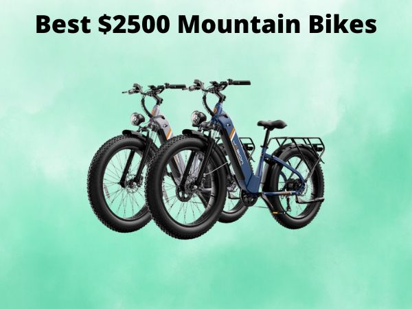 Best $2500 Mountain Bikes