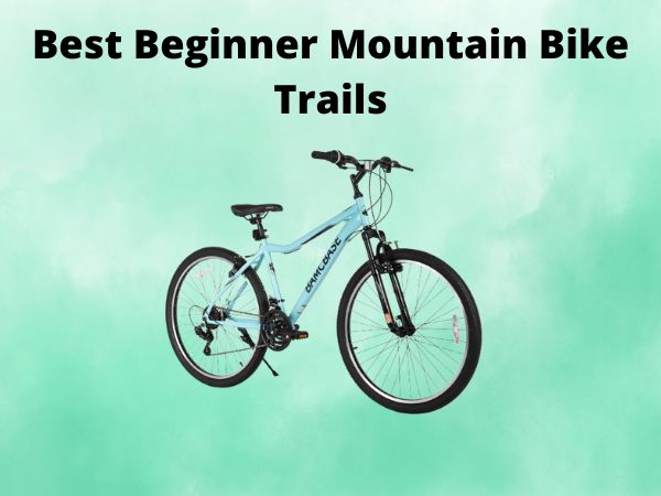 Best Beginner Mountain Bike Trails