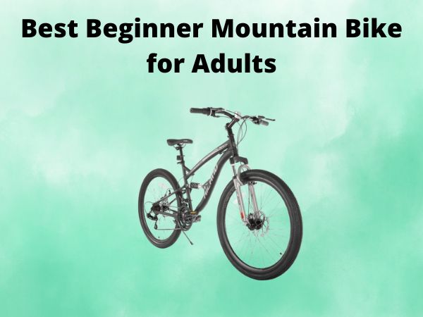 Best Beginner Mountain Bike for Adults