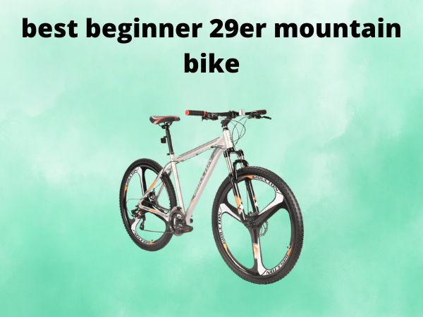 best beginner 29er mountain bike