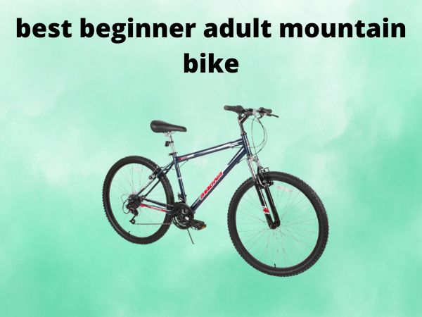 best beginner adult mountain bike