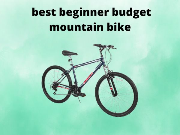 best beginner budget mountain bike