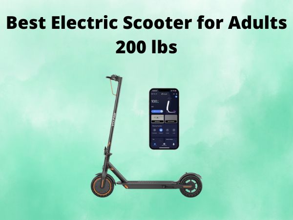 Best Electric Scooter for Adults 200 lbs