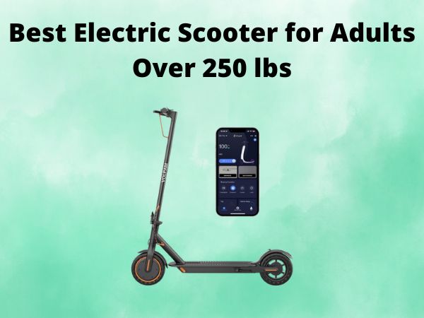 Best Electric Scooter for Adults Over 250 lbs