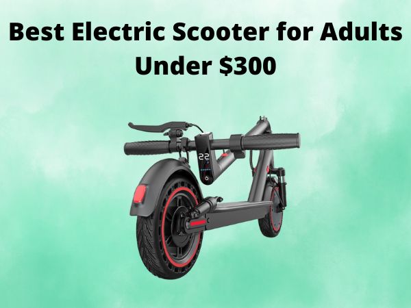 Best Electric Scooter for Adults Under $300