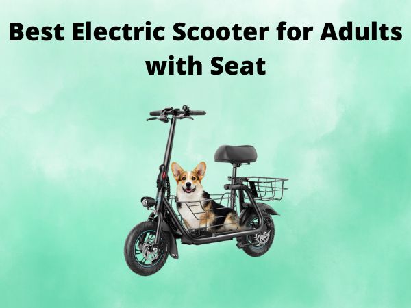 Best Electric Scooter for Adults with Seat