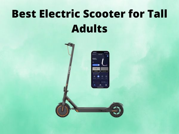 Best Electric Scooter for Tall Adults