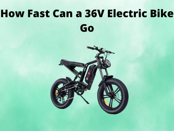 How Fast Can a 36V Electric Bike Go