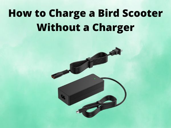 How to Charge a Bird Scooter Without a Charger