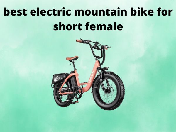 best electric mountain bike for short female
