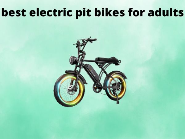 best electric pit bikes for adults