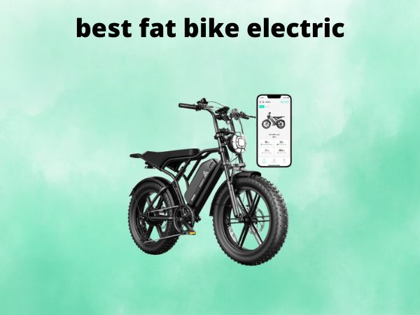 best fat bike electric