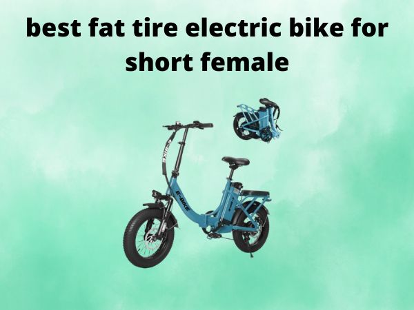 best fat tire electric bike for short female