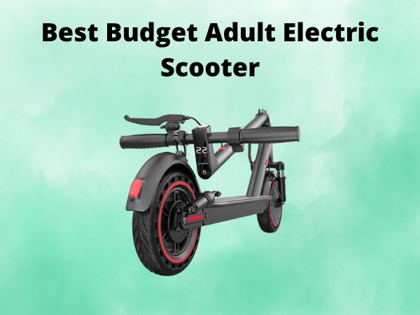 Best Budget Adult Electric Scooter