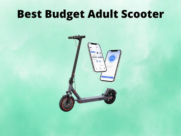 Best Budget Adult Scooter