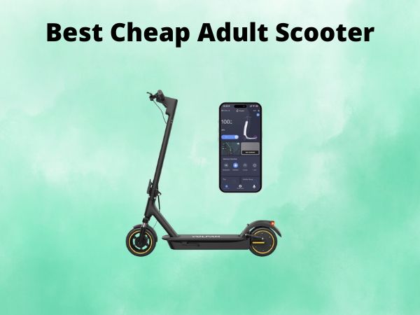 Best Cheap Adult Scooter