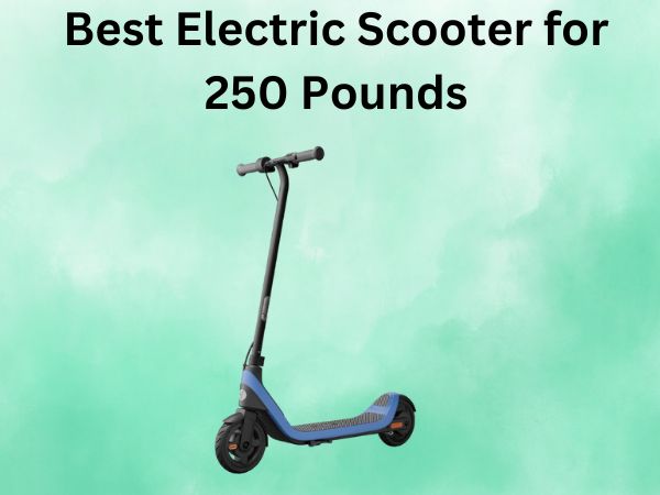 Best Electric Scooter for 250 Pounds