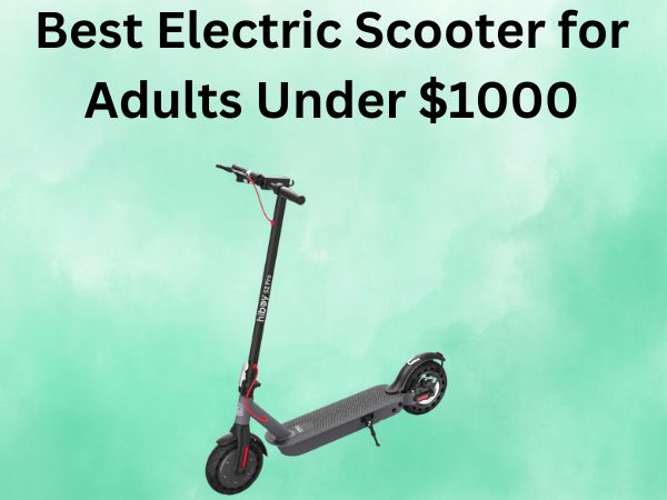 Best Electric Scooter for Adults Under $1000