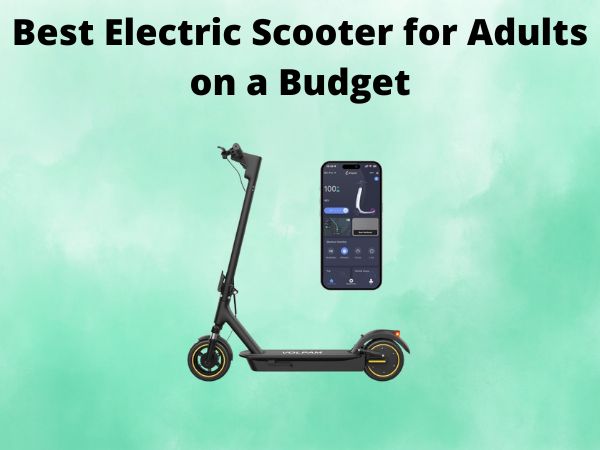 Best Electric Scooter for Adults on a Budget