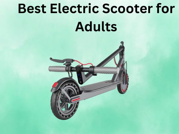 Best Electric Scooter for Adults