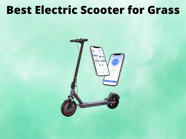 Best Electric Scooter for Grass