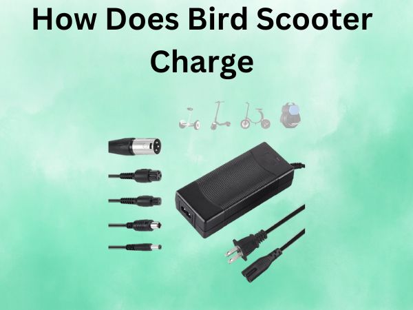 How Does Bird Scooter Charge