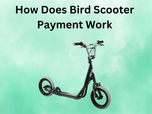 How Does Bird Scooter Payment Work?