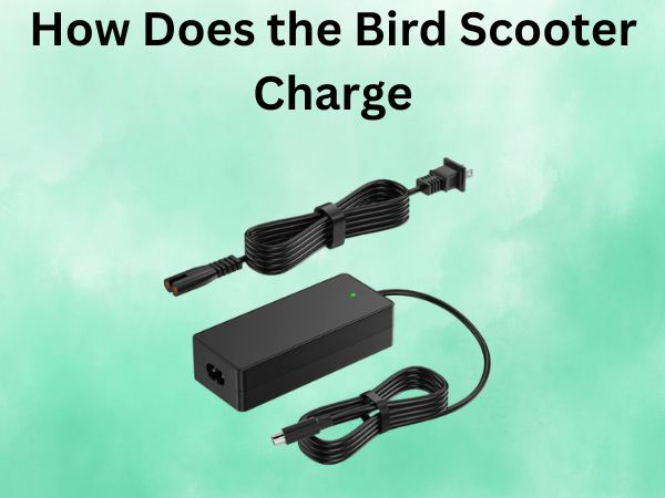 How Does the Bird Scooter Charge