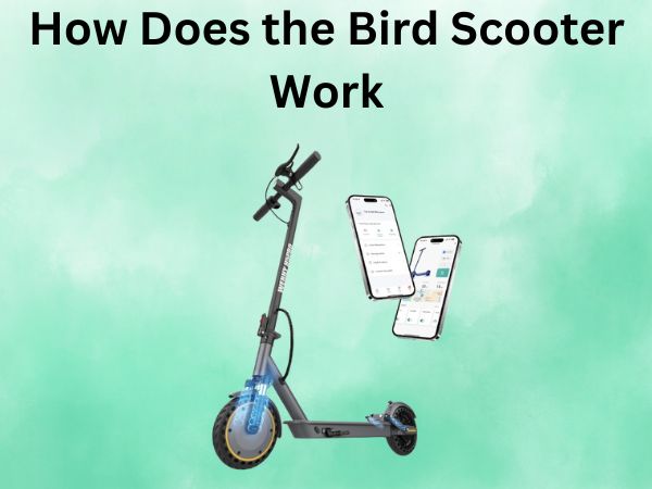 How Does the Bird Scooter Work