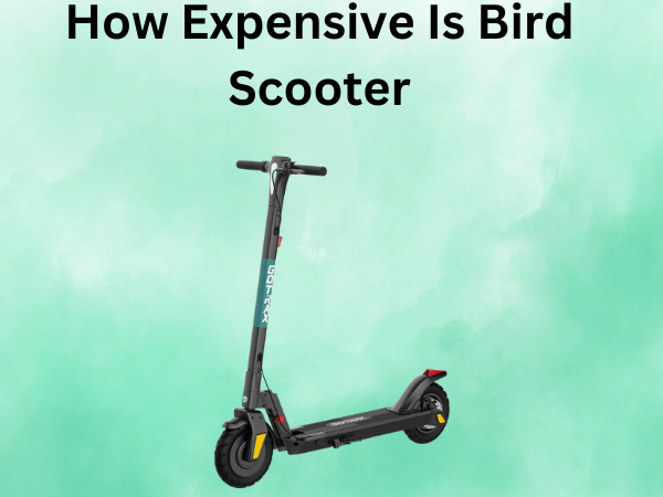 How Expensive Is Bird Scooter