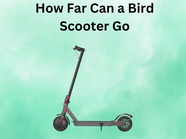 How Far Can a Bird Scooter Go