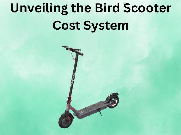 Unveiling the Bird Scooter Cost System
