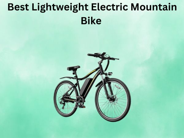 Best Lightweight Electric Mountain Bike
