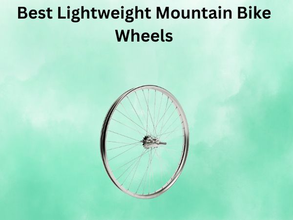 Best Lightweight Mountain Bike Wheels